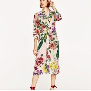 Zara Floral Striped Dress